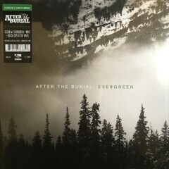 After The Burial – Evergreen (clear w/evergreen + mint + black splatter)