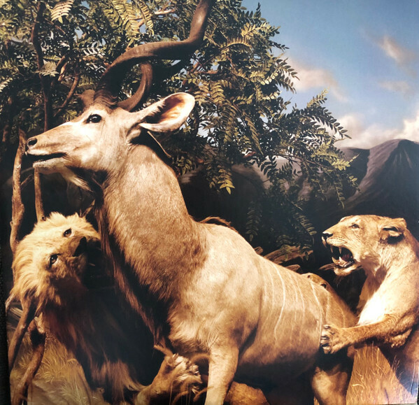 Interpol – Our Love To Admire